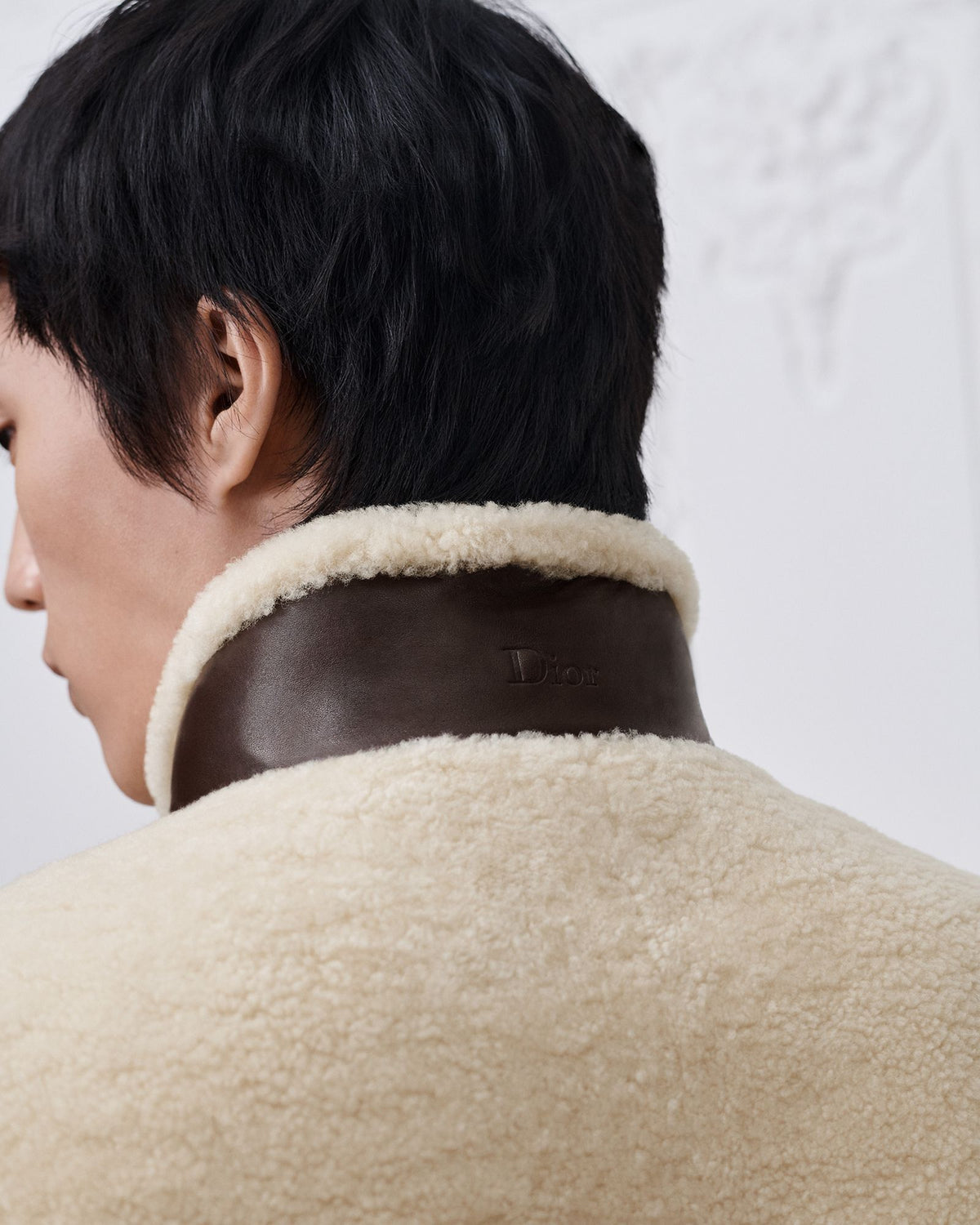 DiorAlps Montaigne Shearling Gilet — Beige — view 4