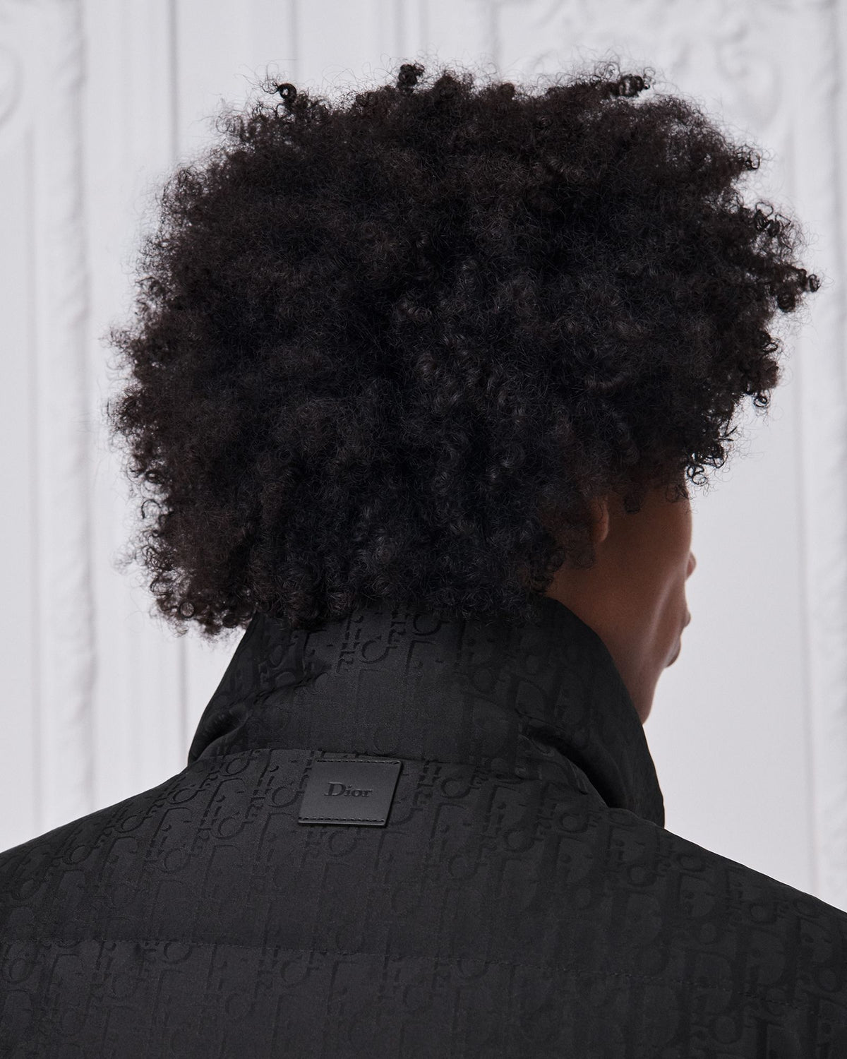 Dior Oblique Technical Jacquard Gilet — Black — view 3