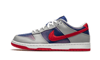 Nike Dunk Low Samba