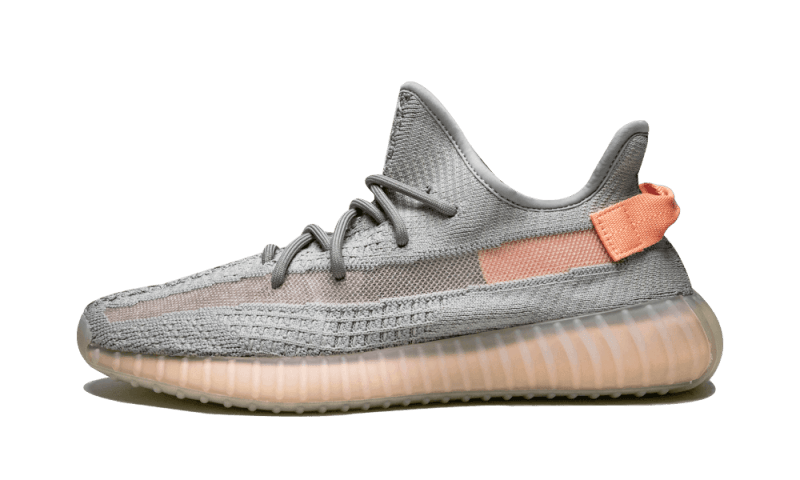 Yeezy 350 V2 True Form